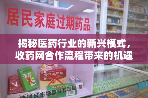 滁州揭秘医药行业的新兴模式，收药网合作流程带来的机遇与挑战