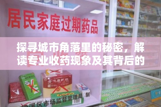 滁州探寻城市角落里的秘密，解读专业收药现象及其背后的故事